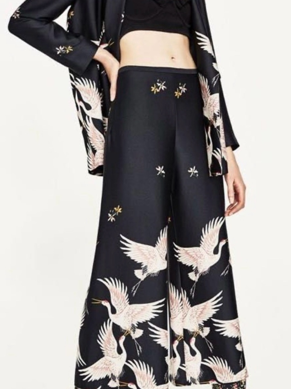 Zara Black Wide-Leg Crane Pants and Jacket